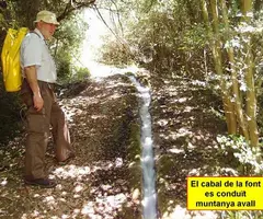 Photographie de FONT CALENTA, COVA DE LA (6 sur 6)