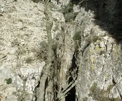 Fotografía de MONT-REDON, ESQUERDA ESTRETA DE (1 de 7)