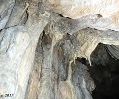 Fotografia de FOSCA DE VILANOVA, COVA (5 de 9)