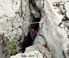 Photographie de PARDINA, GRALLER Nº4 DE LA (8 sur 8)
