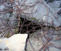 Fotografia de COLLET DE LA CREU, AVENC DEL (3 de 4)