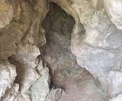 Photograph of VIDABONA, COVA D'EN (2 of 7)