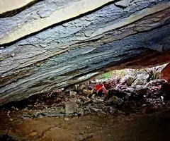 Fotografia de REC DE LES MUNTANYETES, COVA DEL (3 de 7)