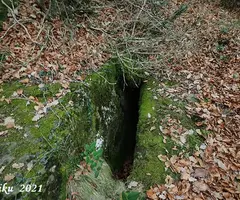 Fotografia de CENSURA, BORA DE LA (1 de 3)