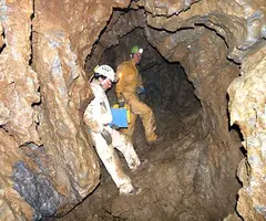 Fotografia de FONTSECA, COVA DE (3 de 4)