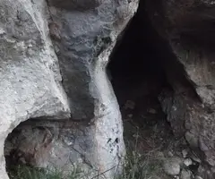 Photographie de AGULLA DEL CELLEROT, COVA DE L' (1 sur 2)