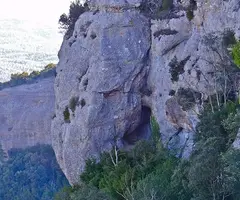 Photographie de OM, COVA DE L' (2 sur 5)