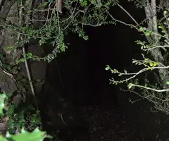 Fotografia de LLAURADOR, FORAT DEL (1 de 3)