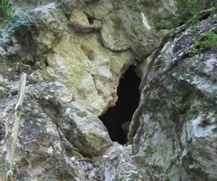 Fotografia de UF-2, COVA (3 de 10)