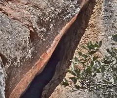 Photograph of CORT PENJADA DE MATA-RODONA (1 of 1)
