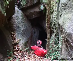 Fotografia de MASALLERA, BORA LLARGA D'EN (3 de 5)