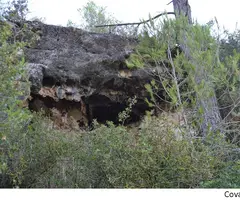 Photographie de PI, COVA DEL (1 sur 1)