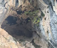 Fotografia de TRABUCAIRES, COVA DELS (3 de 5)
