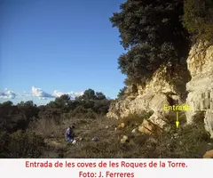 Fotografia de ROQUES DE LA TORRE, COVA DE LES (1 de 4)