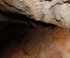 Photographie de AGULLA DEL CELLEROT, COVA DE L' (2 sur 2)