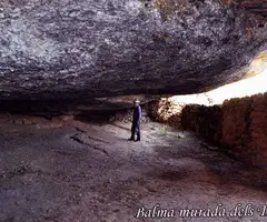 Fotografia de TRIQUELL, BALMA MURADA DELS (1 de 3)