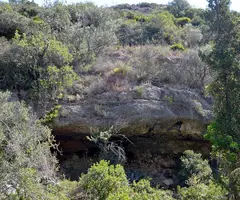 Fotografía de FRANJOLS, COVA DELS (1 de 4)