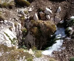 Fotografia de COMTESSA, GRALLERA DE LA (2 de 9)