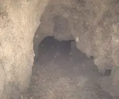 Fotografia de GERBER, COVA DE (3 de 5)