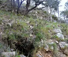 Photographie de BATLLET, COVA DEL (1 sur 2)