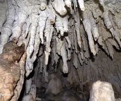 Fotografia de PI, COVA DEL (5 de 7)
