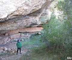 Fotografia de POTAU, COVA DEL (2 de 5)