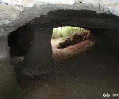 Fotografía de ARENA, COVA DE L' (4 de 4)