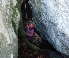 Fotografia de CAMÍ DEL TEIX, AVENC Nº2 DEL (2 de 4)