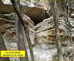 Fotografía de AVELLANA, COVA DE S' (1 de 5)