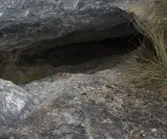 Fotografia de CINGLE, AVENC DEL (3 de 8)