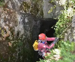 Fotografia de PAÚS,  QUERANT GRAN DE (4 de 6)