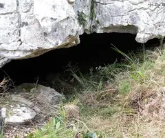 Fotografia de PI, COVA DEL (1 de 7)