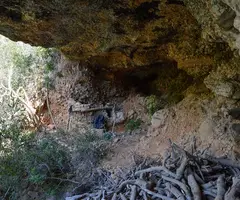 Fotografía de FRANJOLS, COVA DELS (3 de 4)