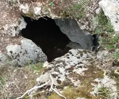 Fotografía de CASES NOVES, FORAT DE LES (1 de 1)