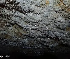 Fotografia de MATA, COVA D'EN (9 de 13)