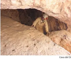 Photograph of DUCS, COVA DELS (3 of 3)