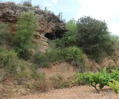 Photographie de POCA CARN, COVA DE LA (1 sur 5)