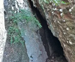 Fotografía de SARGANTANA, COVA DE LA (1 de 2)