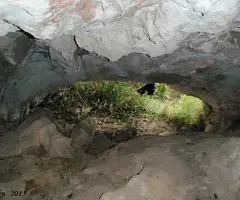 Fotografia de GARRIGA, COVA Nº3 DEL (3 de 3)