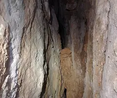 Fotografia de MAS DE LES FONTS, ESQUERDA Nº 6 DEL (5 de 5)