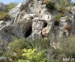 Fotografía de OLOPTE, COVA GRAN D' (6 de 7)