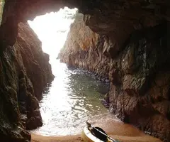 Fotografia de RATES PENADES, COVA DE LES (1 de 1)