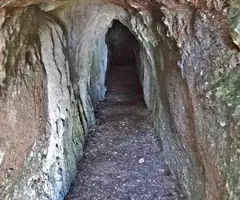 Fotografía de CANAL FREDA, COVA DE LA (1 de 1)