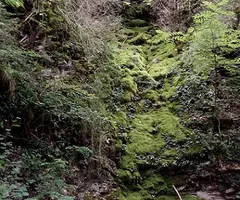 Fotografia de SC-30, COVA (1 de 3)