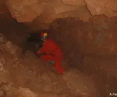 Fotografía de TOIXONS, COVA DELS (4 de 8)
