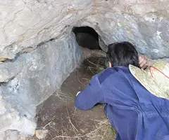 Fotografia de EMBUT, COVA DE L' (2 de 3)