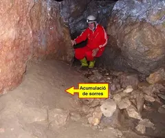 Photographie de FONT GROSSA, COVA DE LA (3 sur 5)