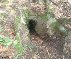 Fotografía de CLOS, COVA DEL (2 de 2)
