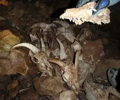 Fotografia de SERP, AVENC DE LA (5 de 5)