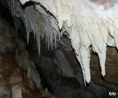 Photographie de DOLINA, AVENC DE LA (3 sur 3)